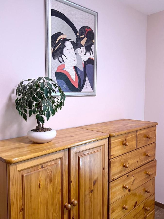 Center Budget Apartment Inside Free Parking Self Check-In Free Streaming Ac Balcony Budapest Eksteriør billede